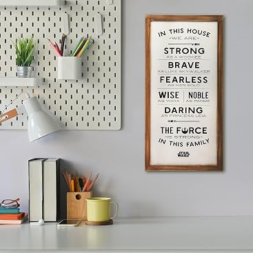 Amazon.com: Open Road Brands Disney Star Wars In This House Family ...