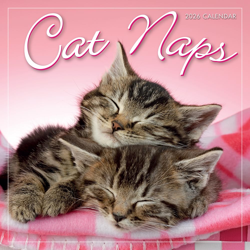 2026 Cat Naps Mini Calendar โ image 1