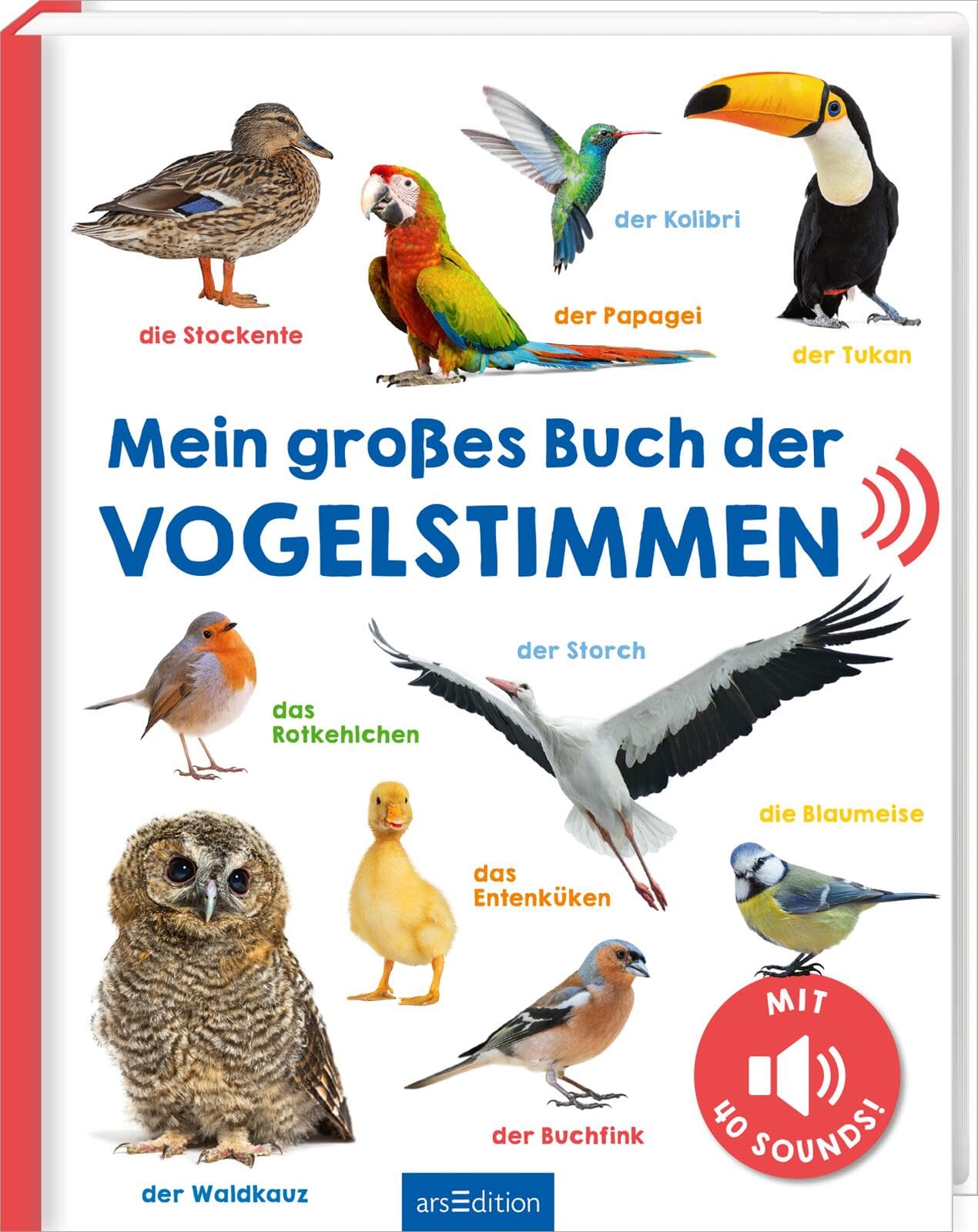 Mein großes Buch der Vogelstimmen: Mit 40 Sounds