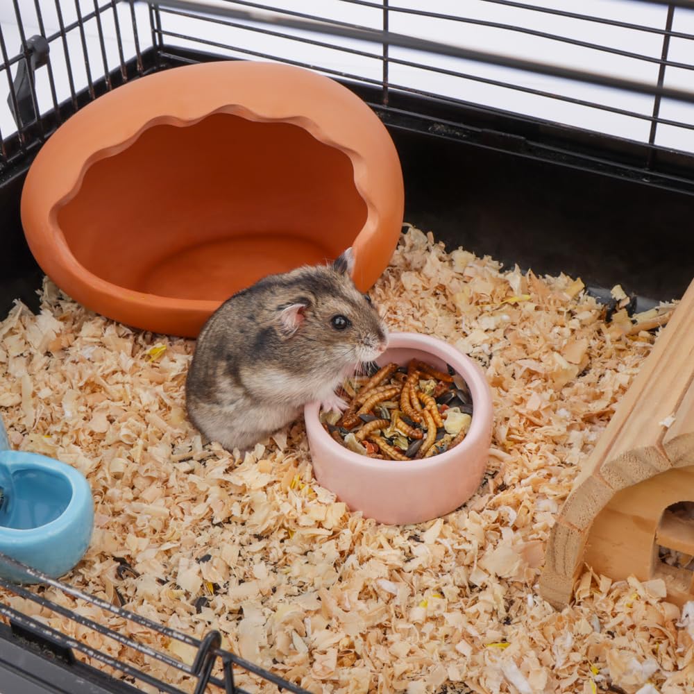 Keramik-Hamsterschüssel, für kleine Tiere, Futterschale und Wasserschale, für Igel, Hamster, Meerschweinchen, Zucker, Ratten, Rennmäuse, Chinchilla, Blau und Grün, 2 Stück