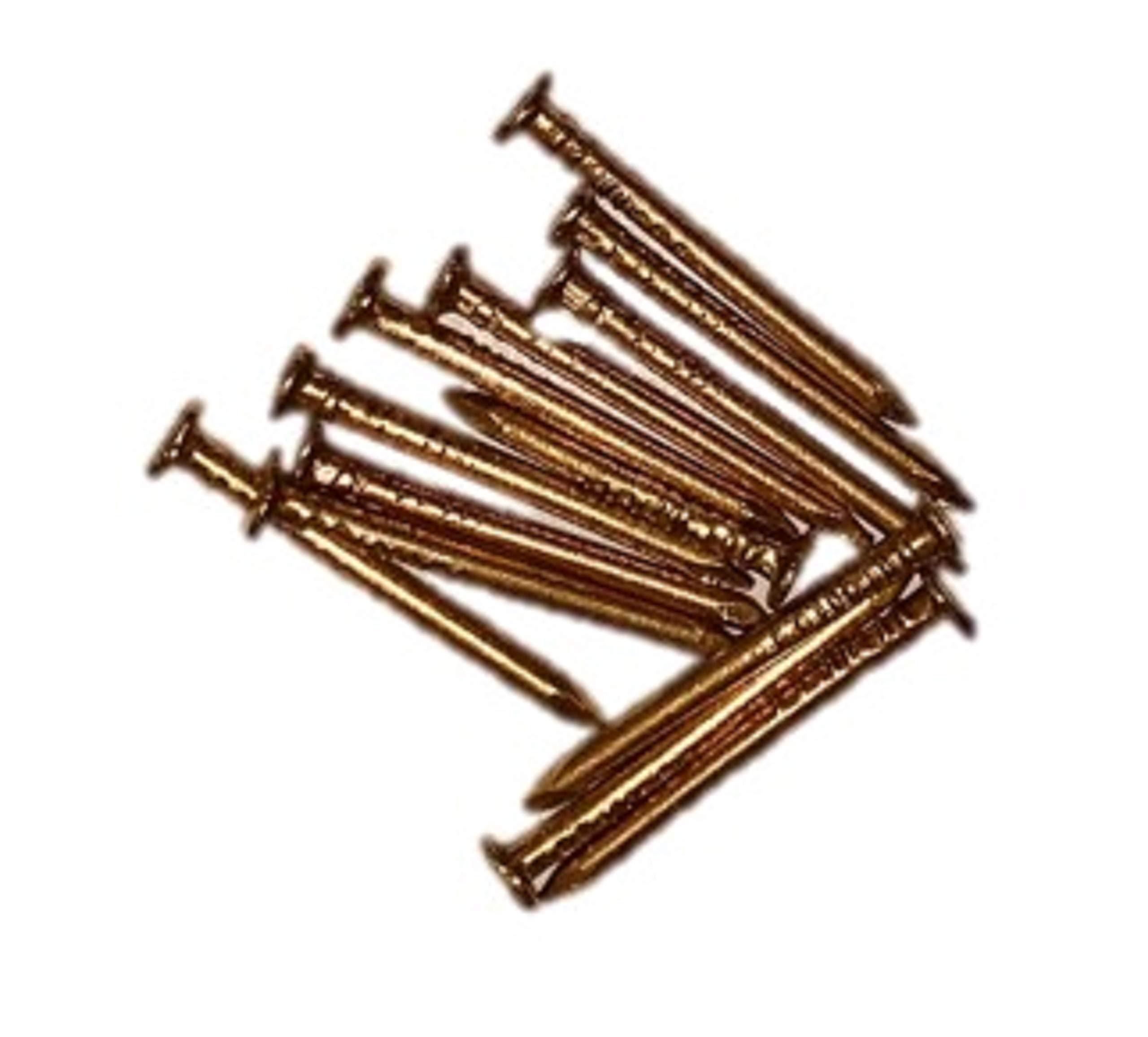 Brass Nails 17 Guage (1.45 MM Dia) Hash Head- Pack of 1 Kg (1 KG 10 MM) (B08T5LR1P7) Amazon Price History, Amazon Price Tracker