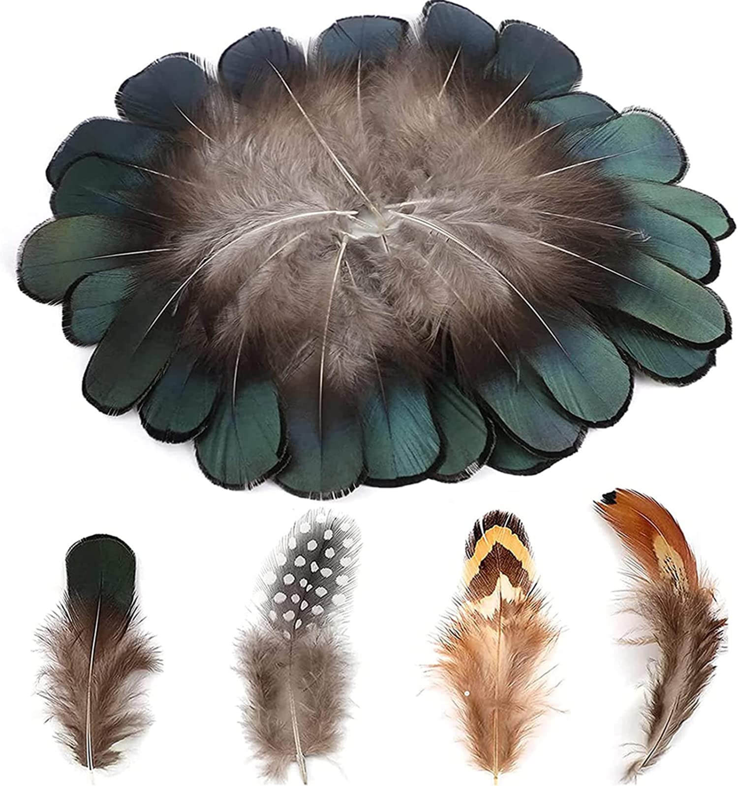 ELECDON 200 Pieces DIY Crafts Feathers 4 Assorted Chicken Feathers for Dream Catcher Party Mask Decoration, Green Black Yellow Brown Decor Feather