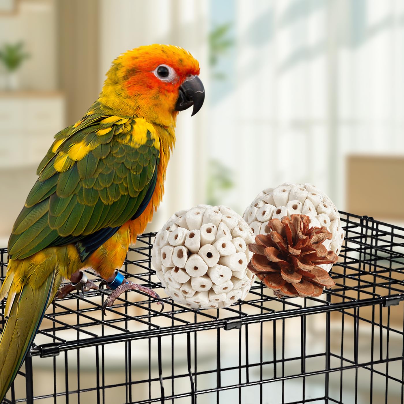 Kyouki Bird Toys Parrot Toys Natural Bird Foraging Box Foot for Parakeets,Cockatiels,Conures,Love Birds,and Other Small to Medium Birds (Medium) - image 6