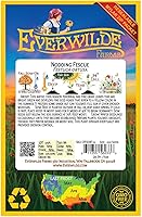 Vista 2 de Everwilde Farms - 200 semillas de hierba nativa de festuca con la cabeza - Paquete de semillas jumbo Gold Vault