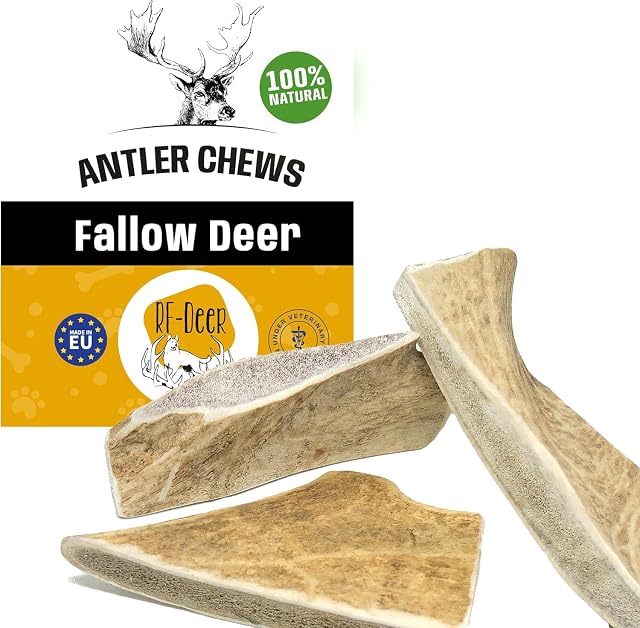 RF-Deer Asta de gamo Natural para Perros, Soft XL, 1 Pieza