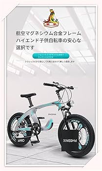 新品タグ付き フェニックス
Phenix Team-3-D Pants PHENIX（フェニックス）の正規通販 - BOOMERANG