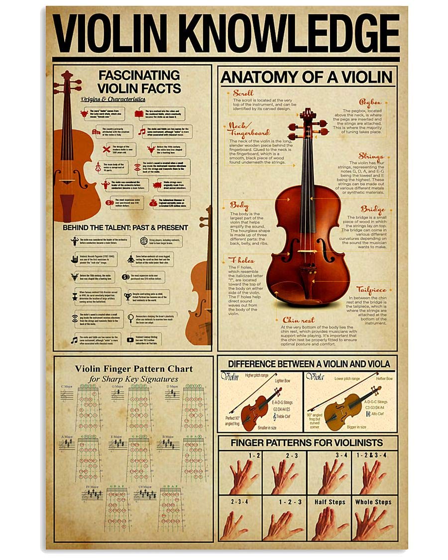 peiyeety Violin Teaching Guide Metal Signs Home Decor Violin Knowledge Tin Poster Room Club Wall Decoration Plaque Guitar Lovers Gift 8"x12"