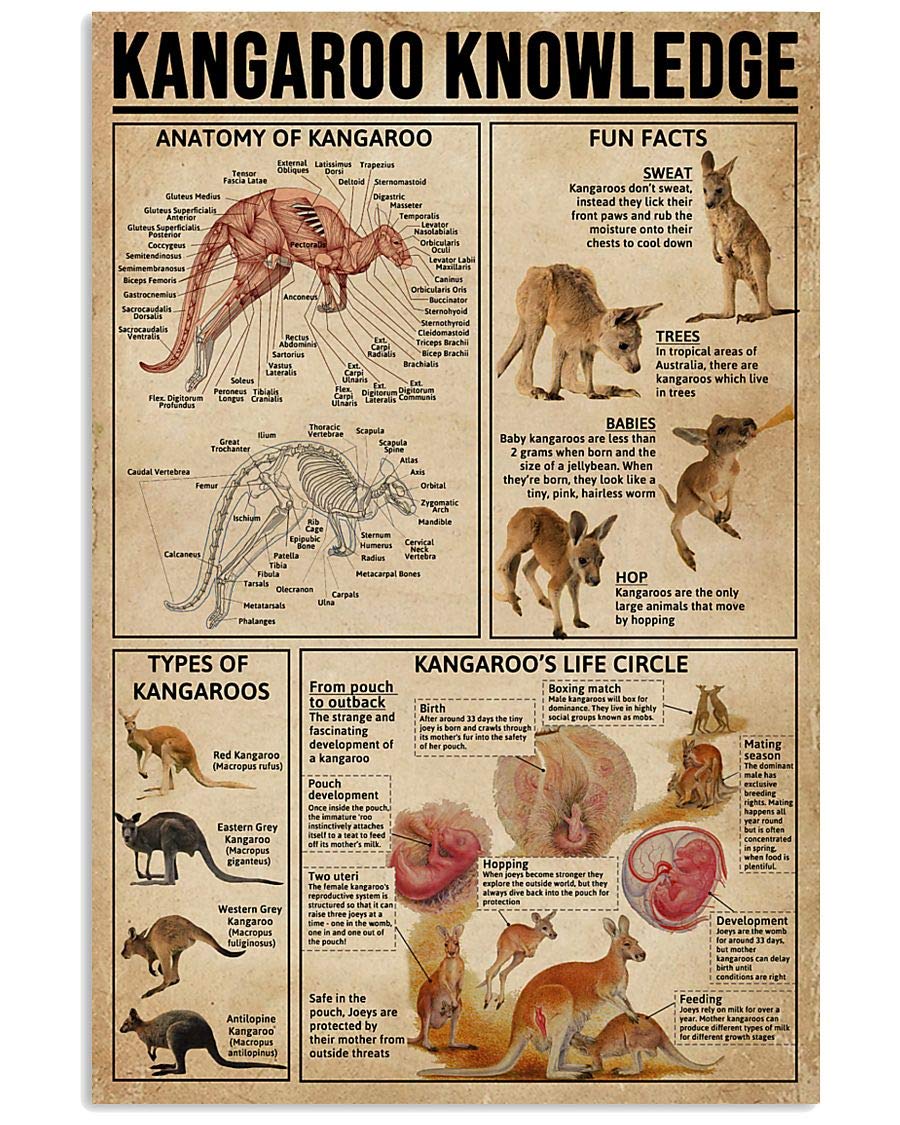rayprint Kangaroo Knowledge Posters Science Guide Metal Signs Room Club Farm Decor Wall Decor Vintage Plaque 12x16 Inches