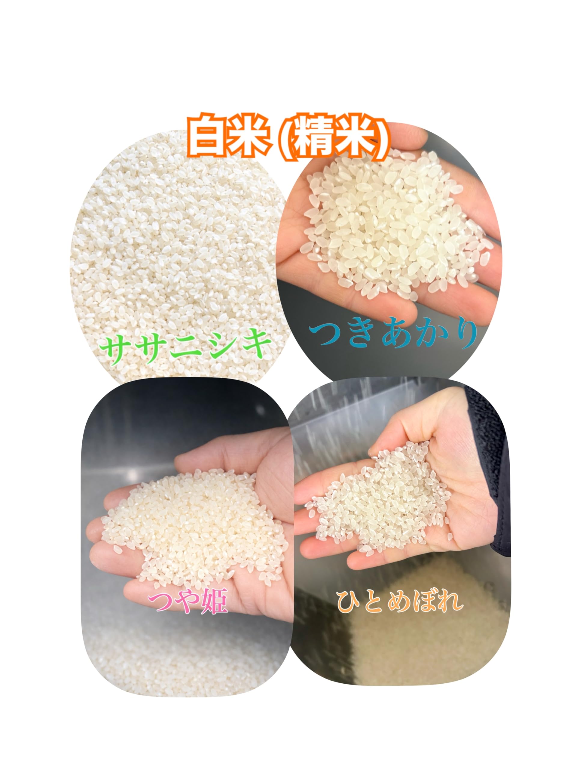 Amazon.co.jp: ごとう農産 米 食べ比べ米 4種銘柄米 令和7年産 宮城県 