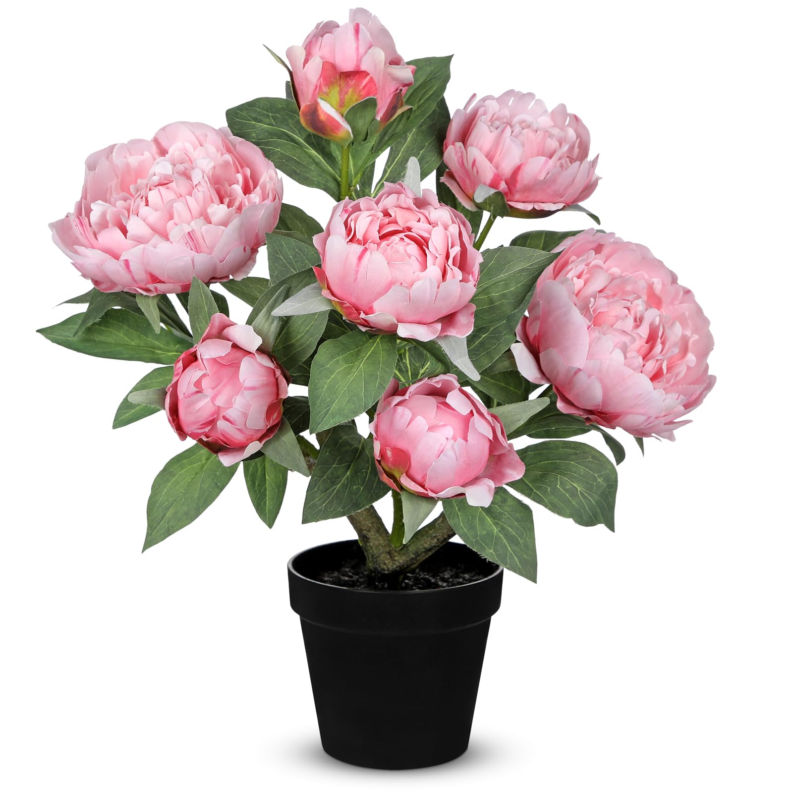 Amazon.com: Hollyone Pink Fake Peonies Artificial Flowers in Pot 16.9"  Small Peonies Tree Indoor Outdoor Faux Plants & Flowers Peony Silk Flowers  Potted Plant Artificial Peony Floral Arrangement Desk Home Decor :