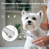 Ver la foto 2