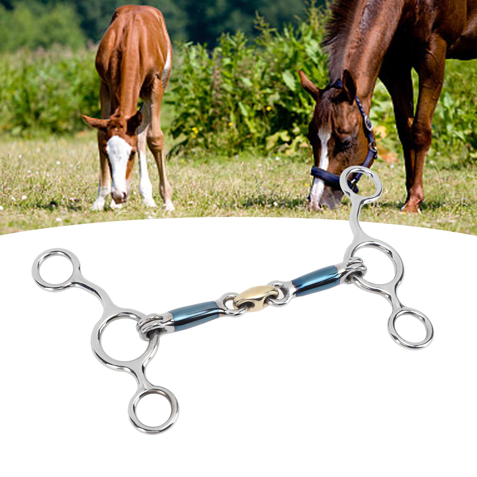 Broca De Caballo De Filete De 125mm, Broca De Boca De Caballo De Acero Inoxidable, Accesorios De Cría De Caballos para Granja