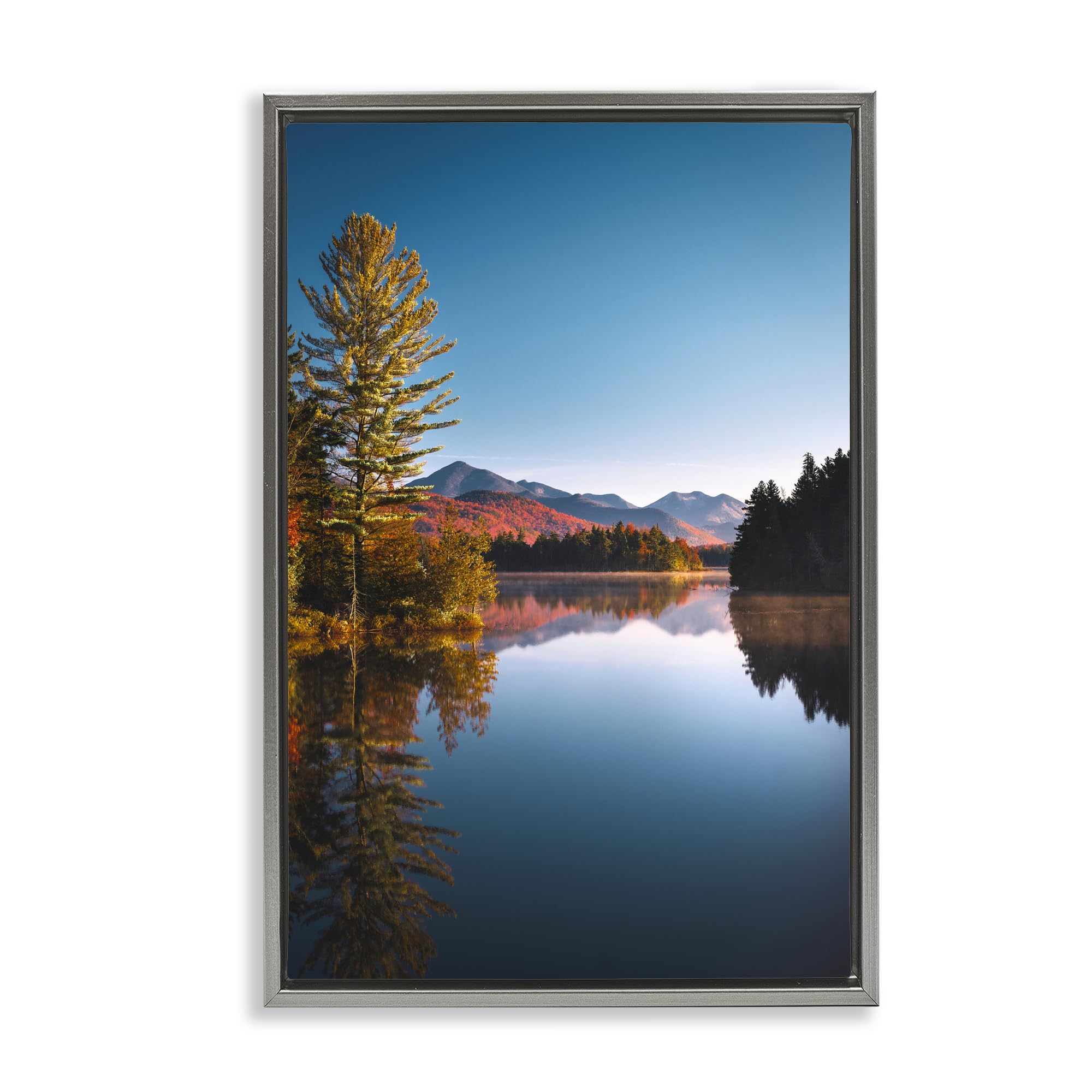 Stupell Industries Luster Gray (Matte) 'Autumn Morning Wilderness'| Floating Frame Canvas Art