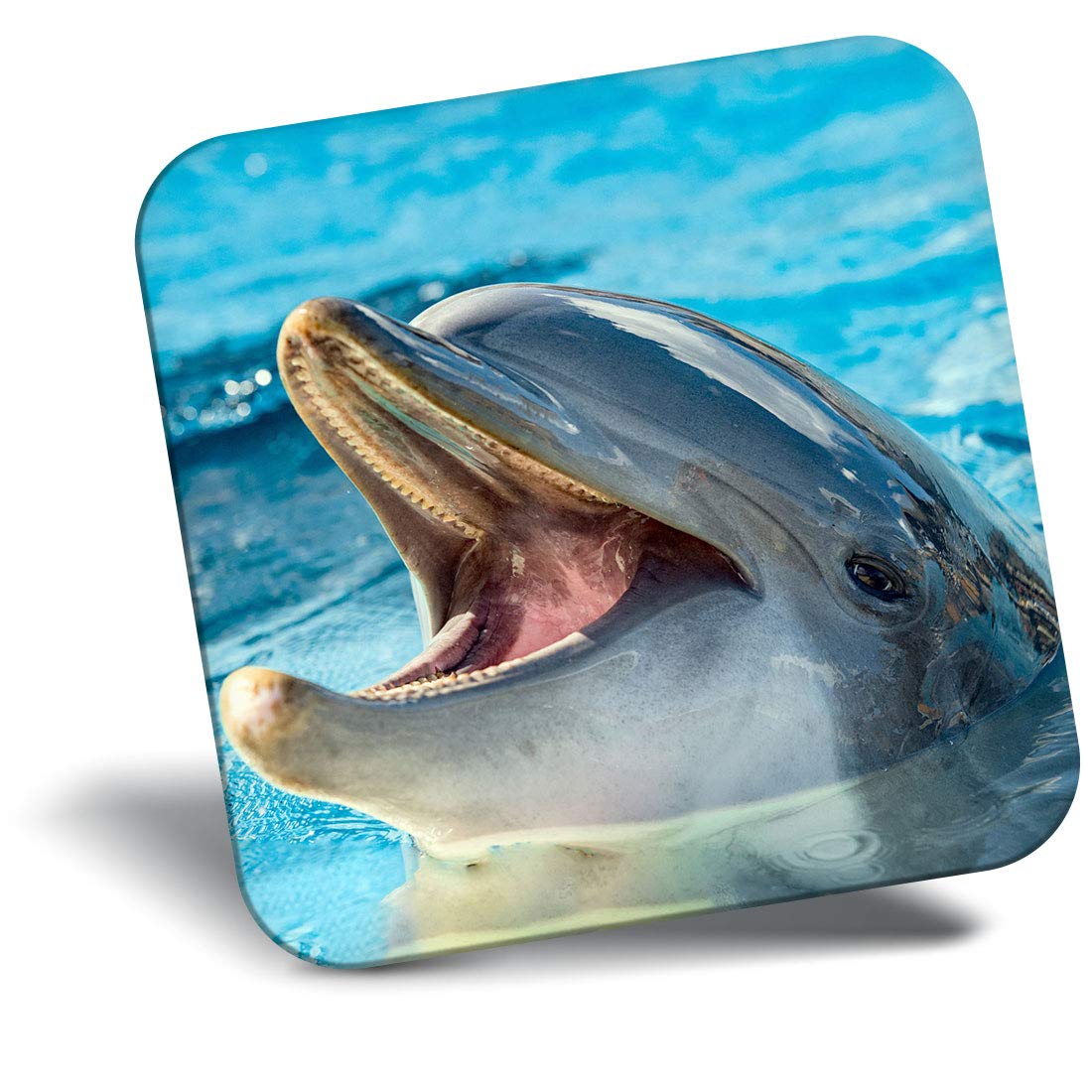 Destination Vinyl Ltd Fridge Magnet - Beautiful Cheeky Dolphin 14260