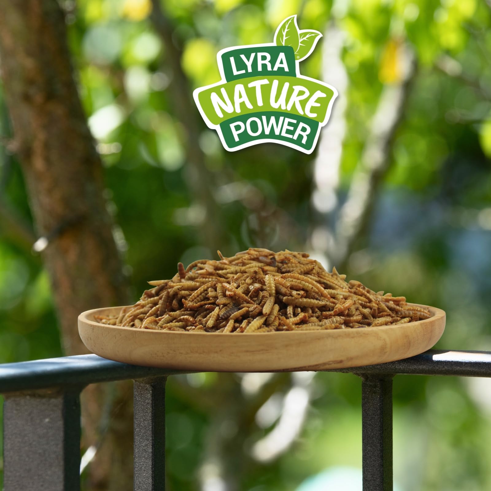Lyra Pet® 10 kg vers de farine Mélange de larves de mouches soldats séchées Riche en protéines Nourriture naturelle pour oiseaux rongeurs