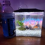 Review Image by Brooke Brooke