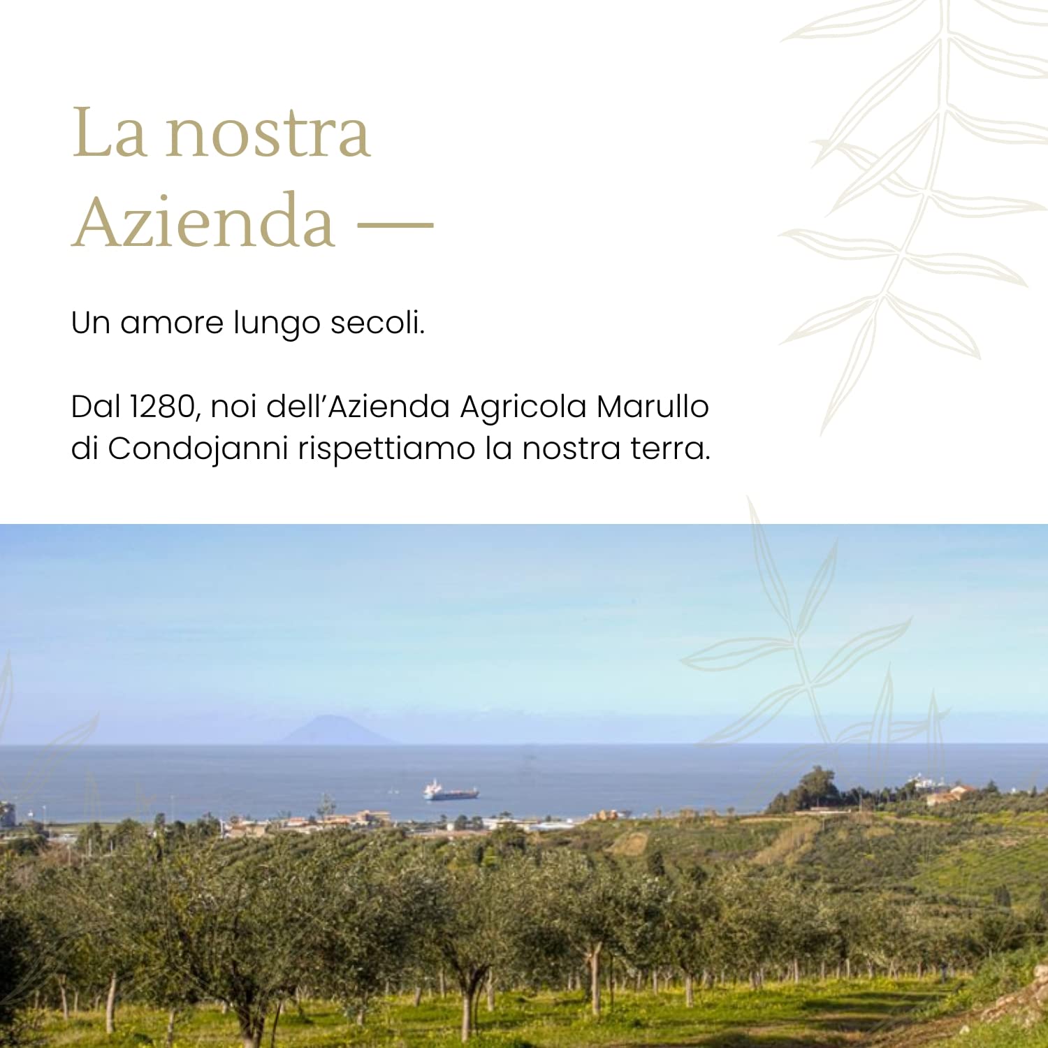 Limoni 100% Siciliani e 100% Biologici - Massima Freschezza e Sostenibilità, Limoni Raccolti Direttamente dai Nostri Alberi - 4 kg - CERTIFICATI BIOLOGICI QUESTO FA LA DIFFERENZA