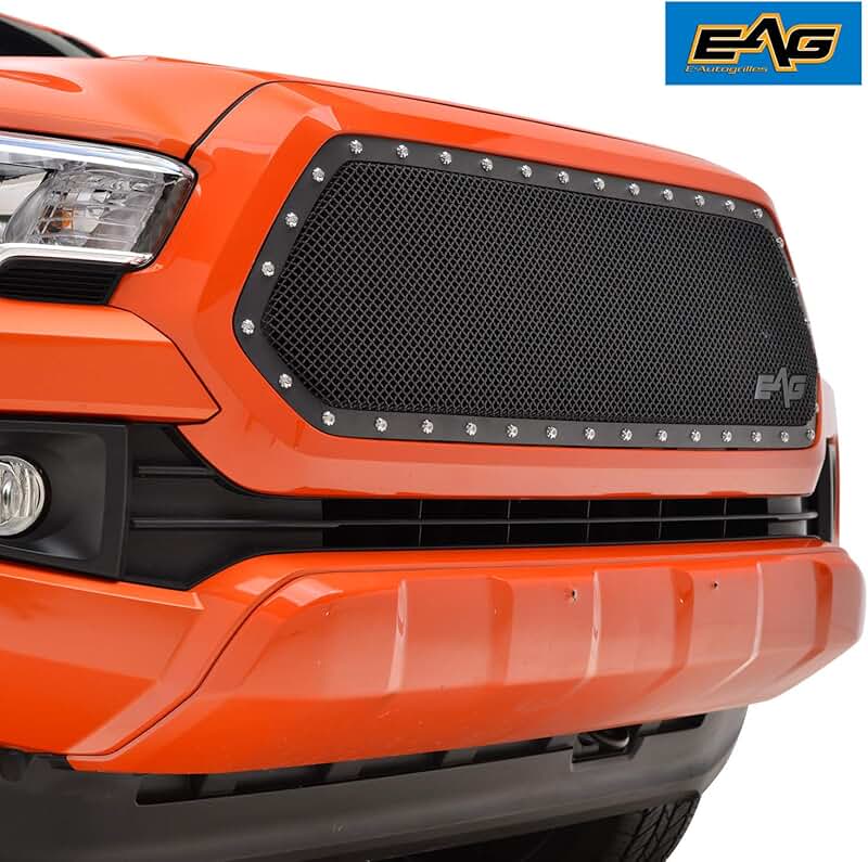 02 tacoma brush guard