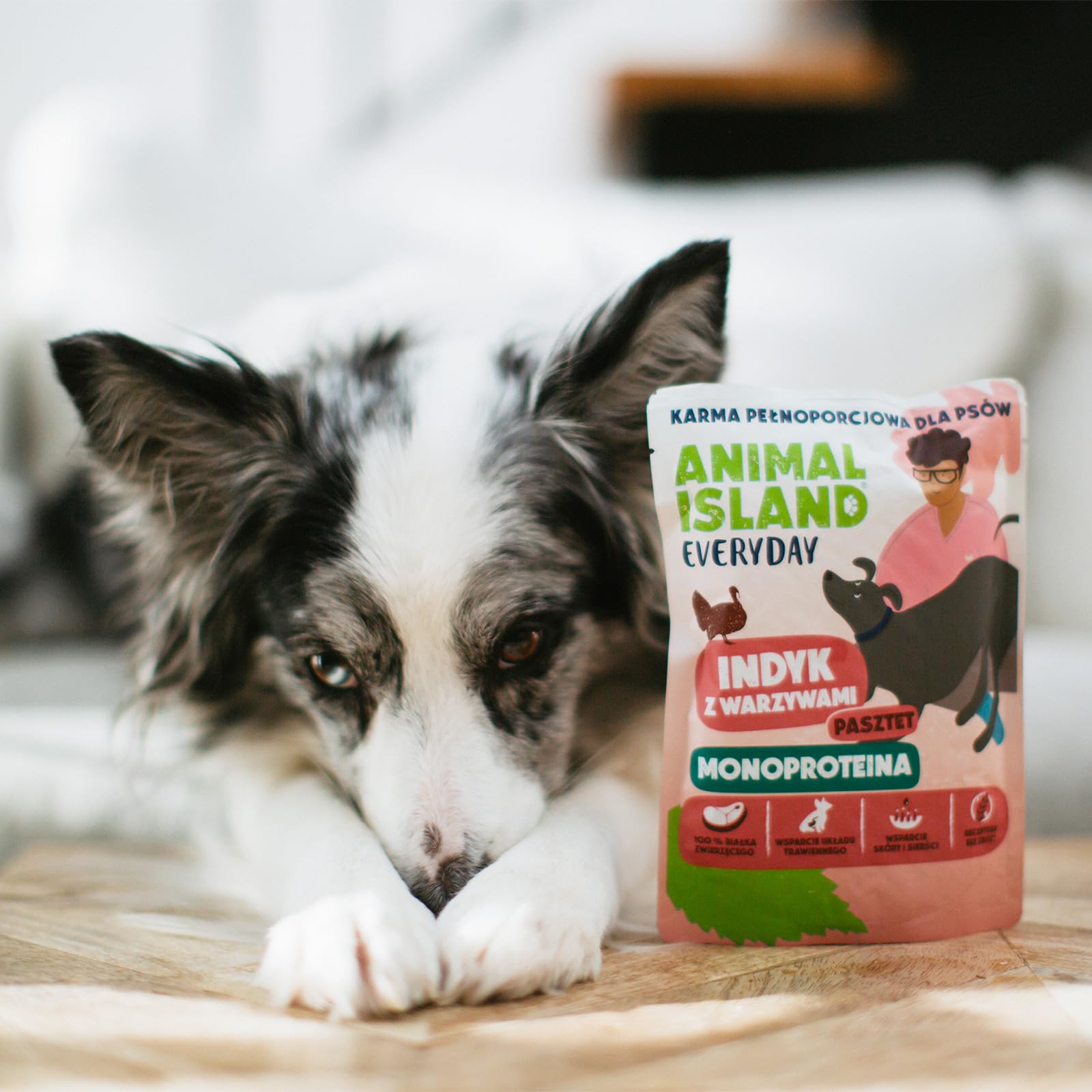 Animal Island Everyday Monoproteina Karma Mokra dla Psa Dorosłego Pasztet z Indyka z Warzywami Saszetka Bezzbożowa Monoproteinowa, 9 x 300g