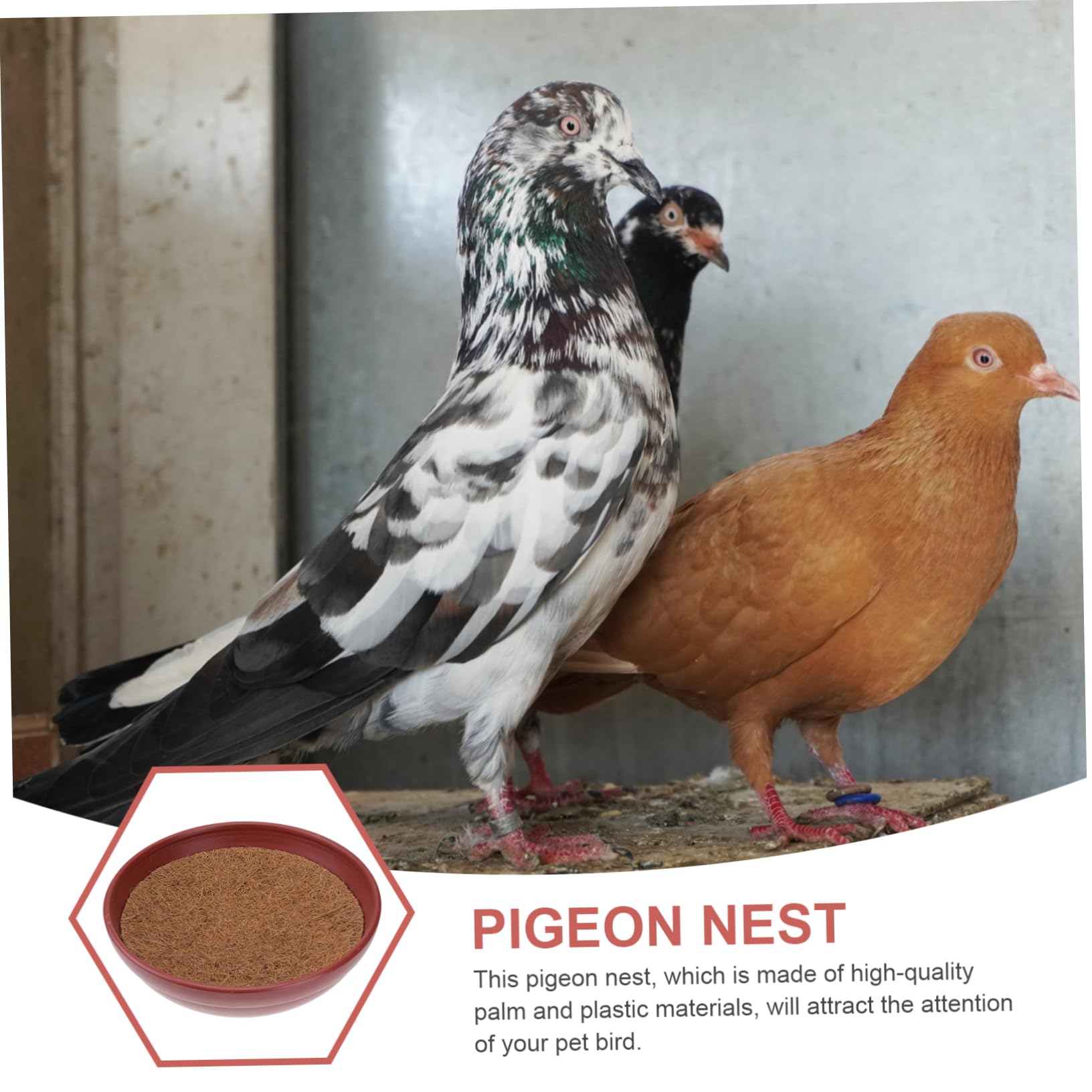 Nid D’oiseau pour Pigeons Voyageurs, Pots à Œufs en Plastique, Lot de 3