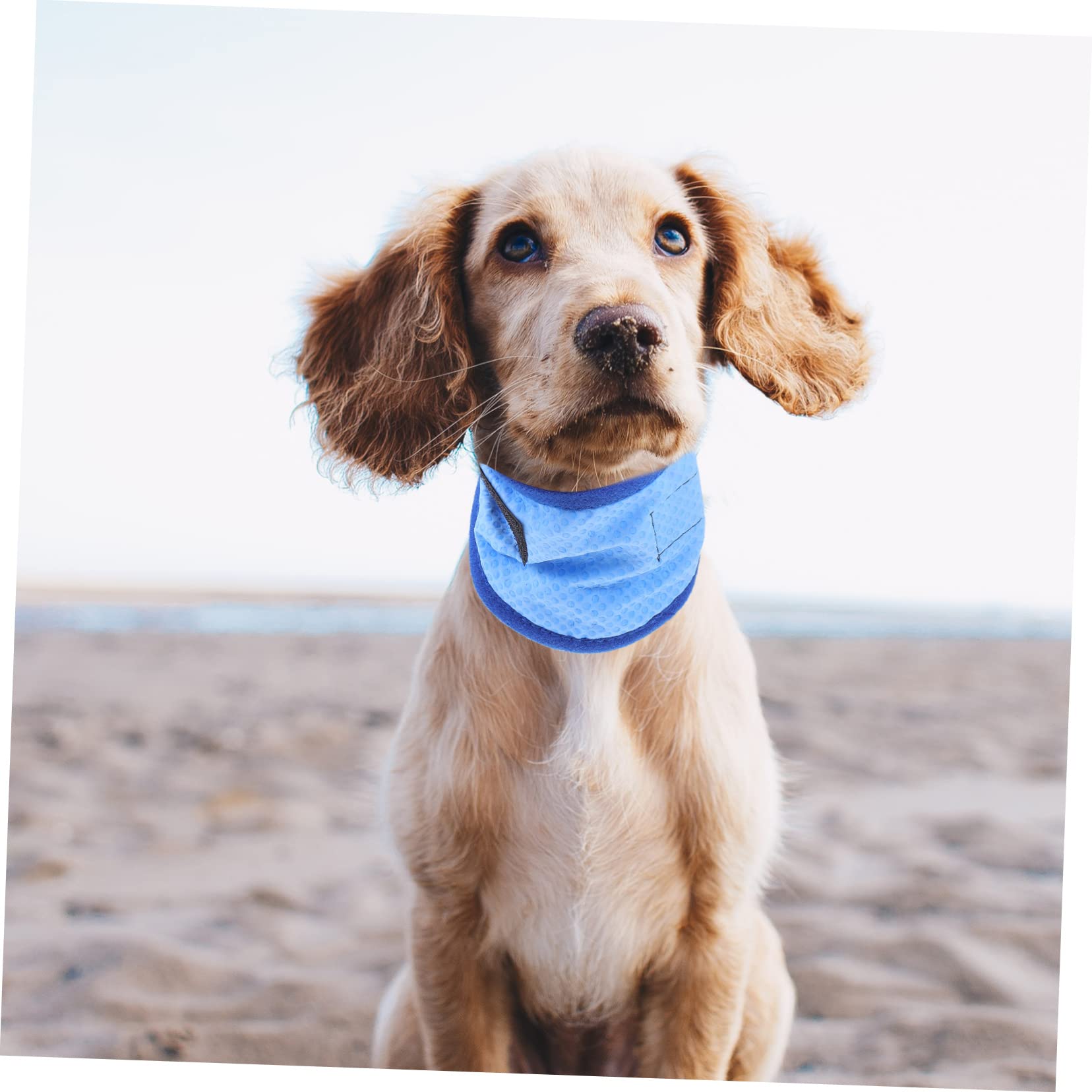Kisangel 4stücke Kühlendes Hundehalsband Aus Atmungsaktivem Material Accessoire Für Sommerpartys Und Outdoor-aktivitäten Mit Innovativer Kältetechnologie Für Sofortige Abkühlung