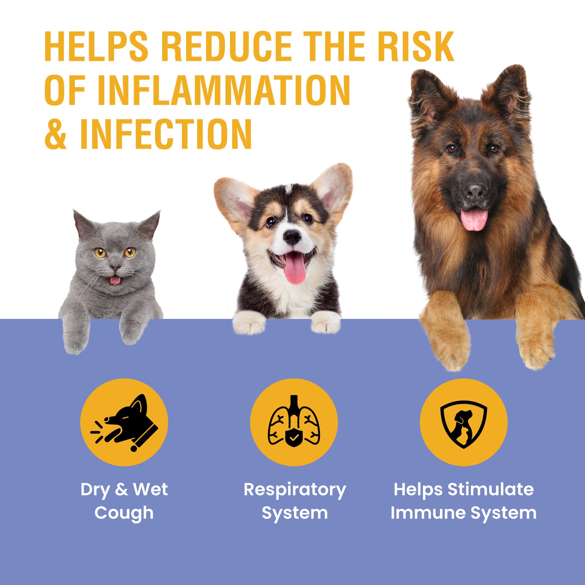 Soporte para la tos de perrera para perros y gatos – Ayuda con la tos seca, húmeda y ladrida – Apoyo respiratorio y garganta de mascotas a base de hierbas, apoya la respiración y las vías