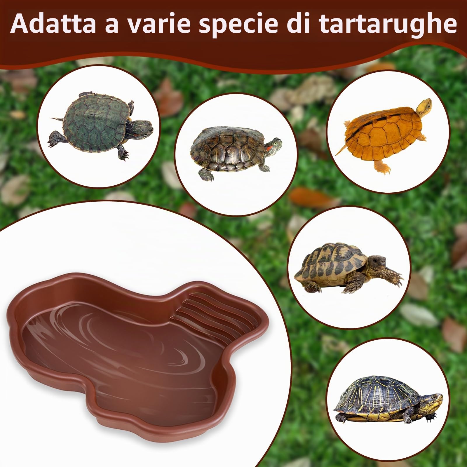 Vasca da bagno rettile, Ciotola per Tartarughe 31*25*5cm, Piscina da Bagno per Rettili, piscina per tartarughe di terra, Vasca da Bagno per Rettili per Tartarughe, Draghi Barbuti, Lucertole e Gechi
