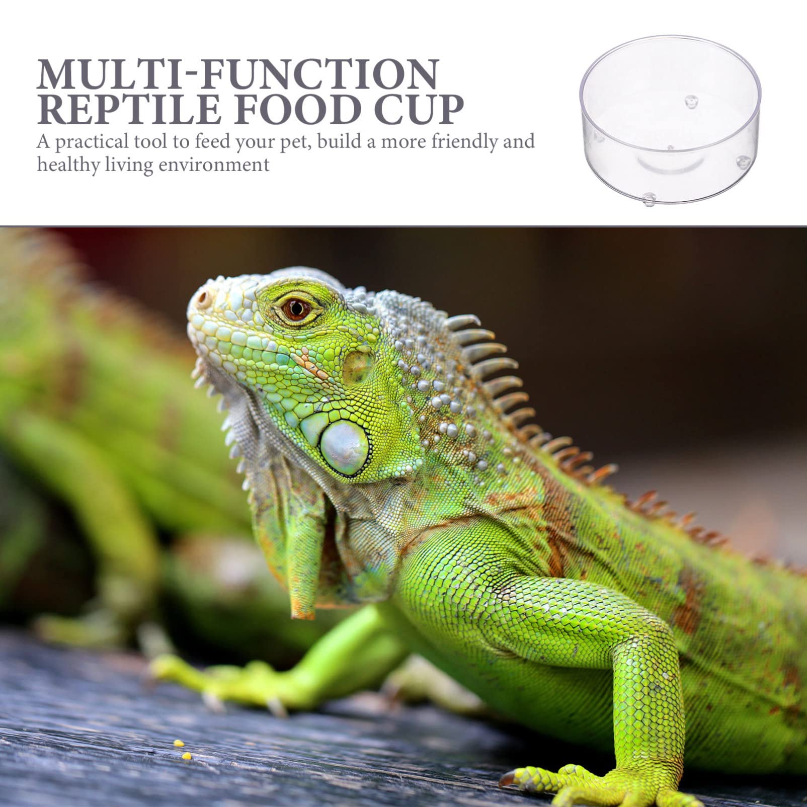 150 Piezas Bebedero para Mascotas Plato de Agua de Tortuga reptiloil Animal Vaso multifunción para Comida de Reptiles Plato de Agua de Reptil Mini Bandeja de Agua Caja de Reptiles
