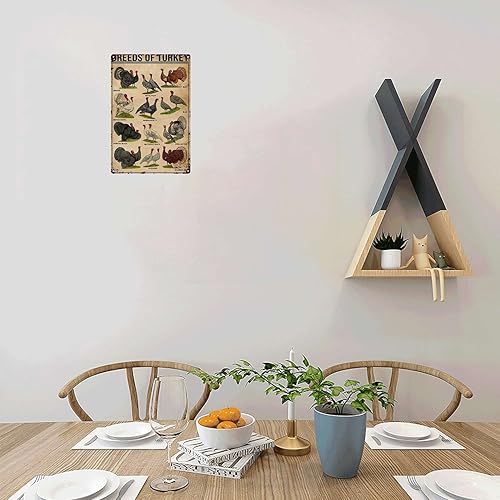 Miniatura 5 de YLUYINOM Cartel de pintura de letrero de hojalata con razas de pavo, póster de conocimiento de Turquía, póster de tipos de pavo, póster de tipos de