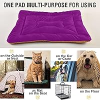 Vista 149 de Dog Bed Mat Soft Comfortable Anti-Slip Bottom Pet Mat Washable Cat Kennel Crate Pad for Small Medium Large Pets 18x24in Hot Pink Beige