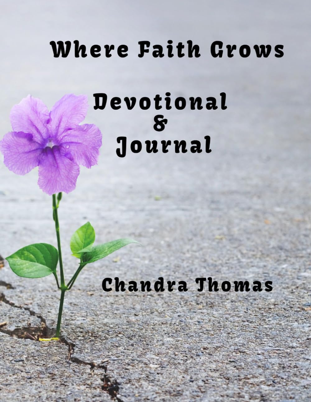 Where Faith Grows: Devotional & Journal