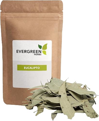 Evergreen Herbs Hojas de eucalipto de 4 onzas Etiqueta de eucalipto globulus, eucalipto, goma de mascar brillante, bolsa de pie resellable para