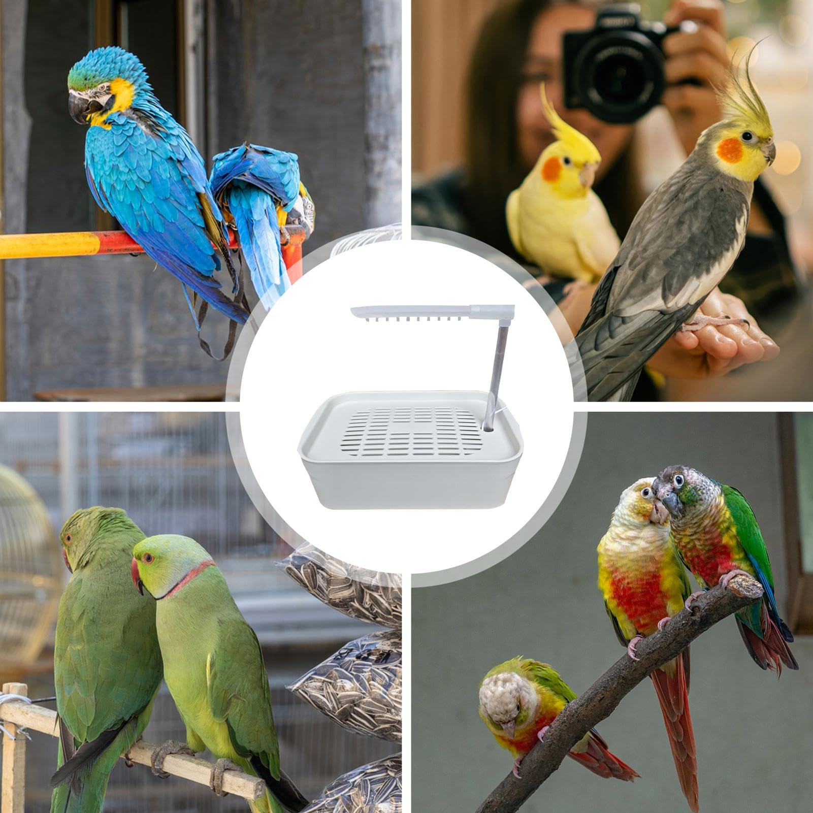Parrot wanna, wanna ptaków Automatyczny prysznic dla ptaków dla zwierząt | Fontanna do kąpieli z zasilaniem USB, akcesoria w klatce dla zwierząt domowych