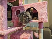 Review Image by miravanillacoke miravanillacoke