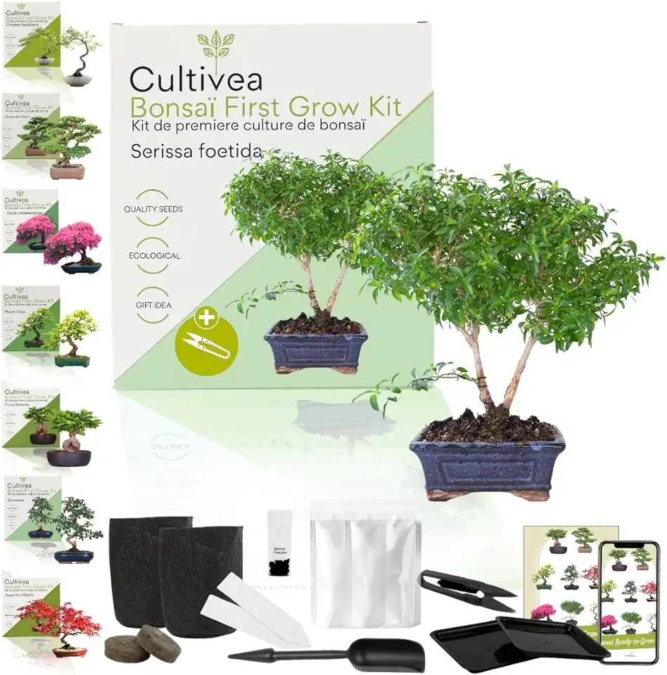 Bonsai odlingskit med frön och tillbehör