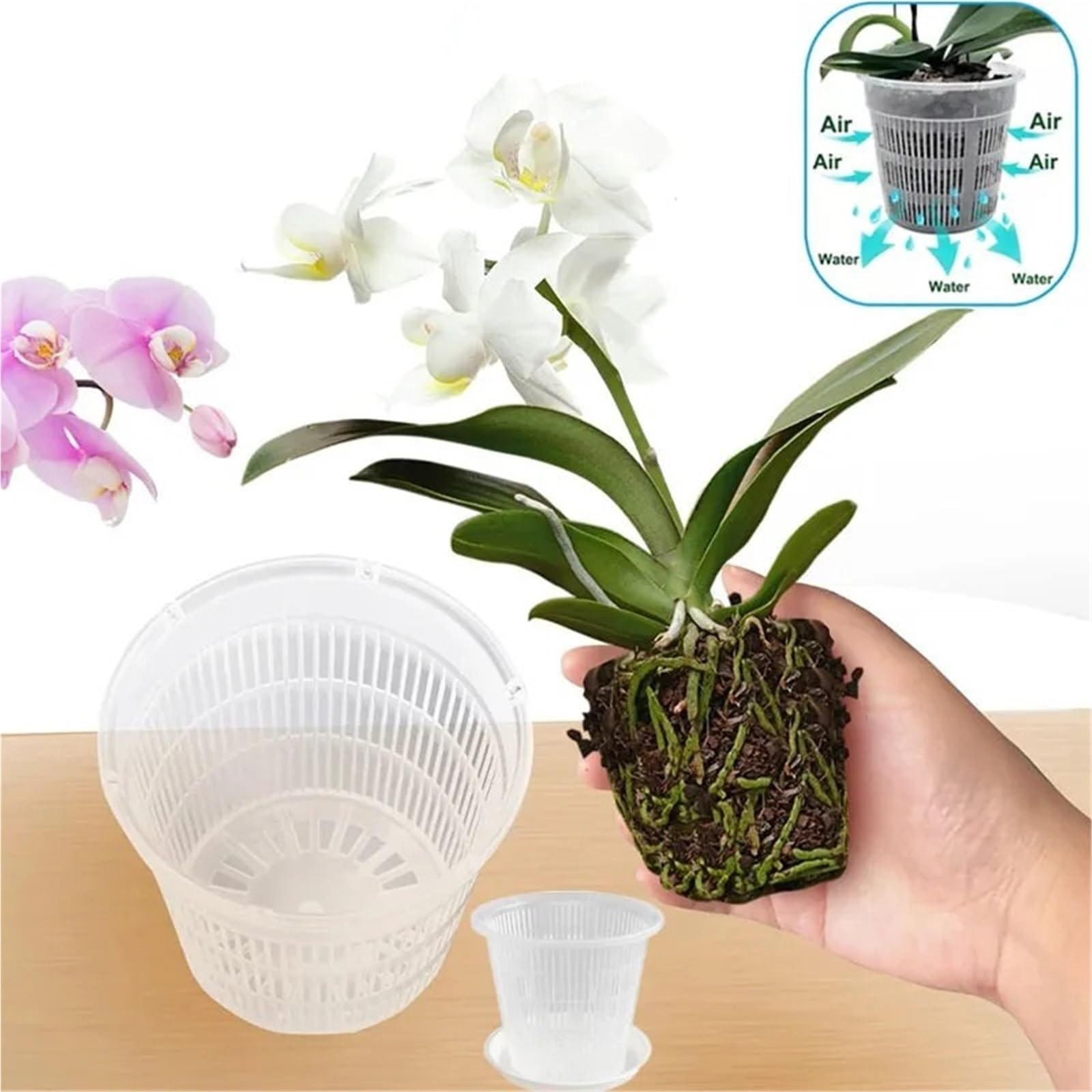 10 pezzi di vaso a rete for il controllo delle radici, trasparente con fori, fioriera traspirante fessure for la decorazione domestica, cesto fiori da giardino per Semi, Piantine(19cm,With tray)