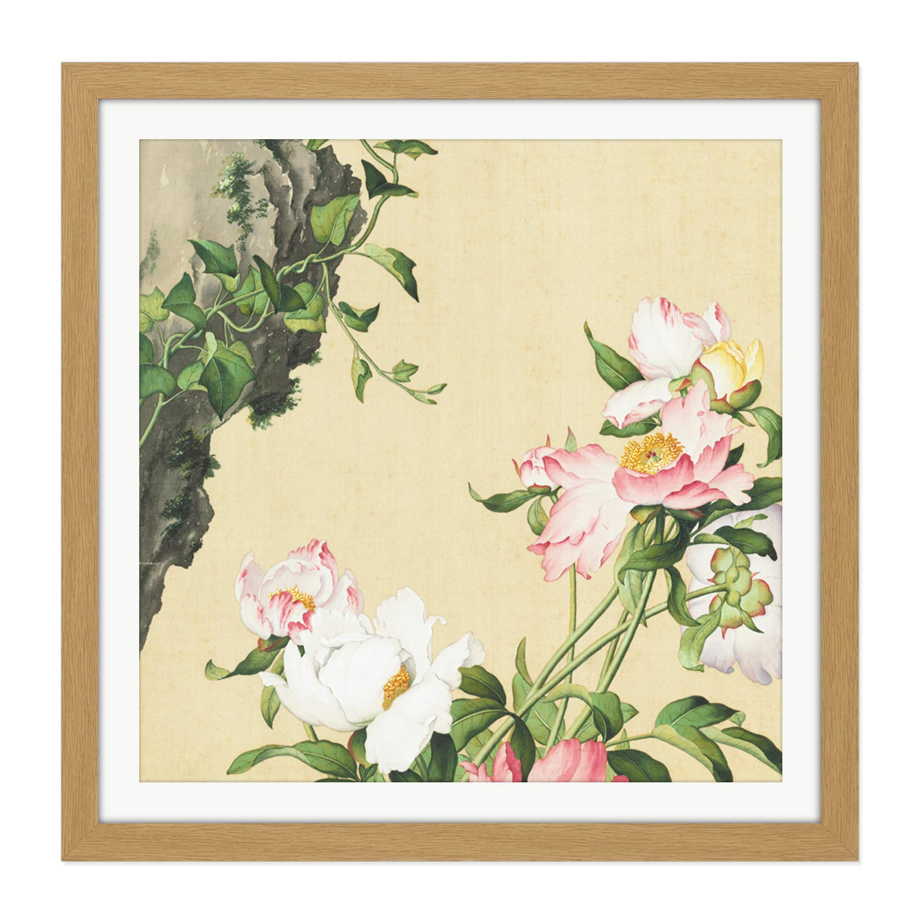 Castiglione Paeonia Flower Plant Painting Square Wooden Framed Wall Art Print Picture 16X16 Inch