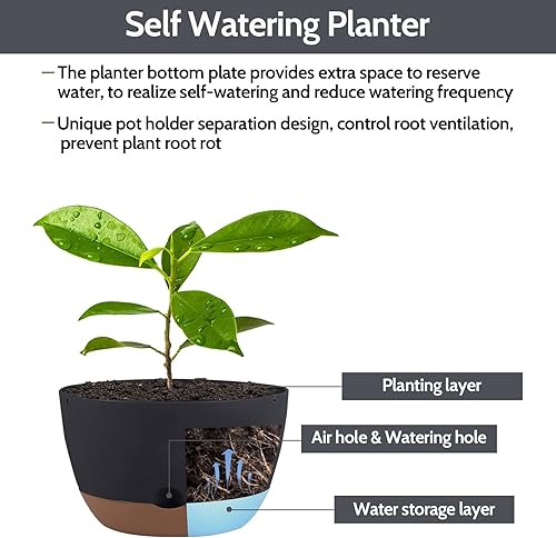 Miniatura 3 de EURCRBU Paquete de 2 macetas colgantes para plantas de interior y exterior, macetas colgantes de plástico de 8.3 pulgadas para exteriores, maceta