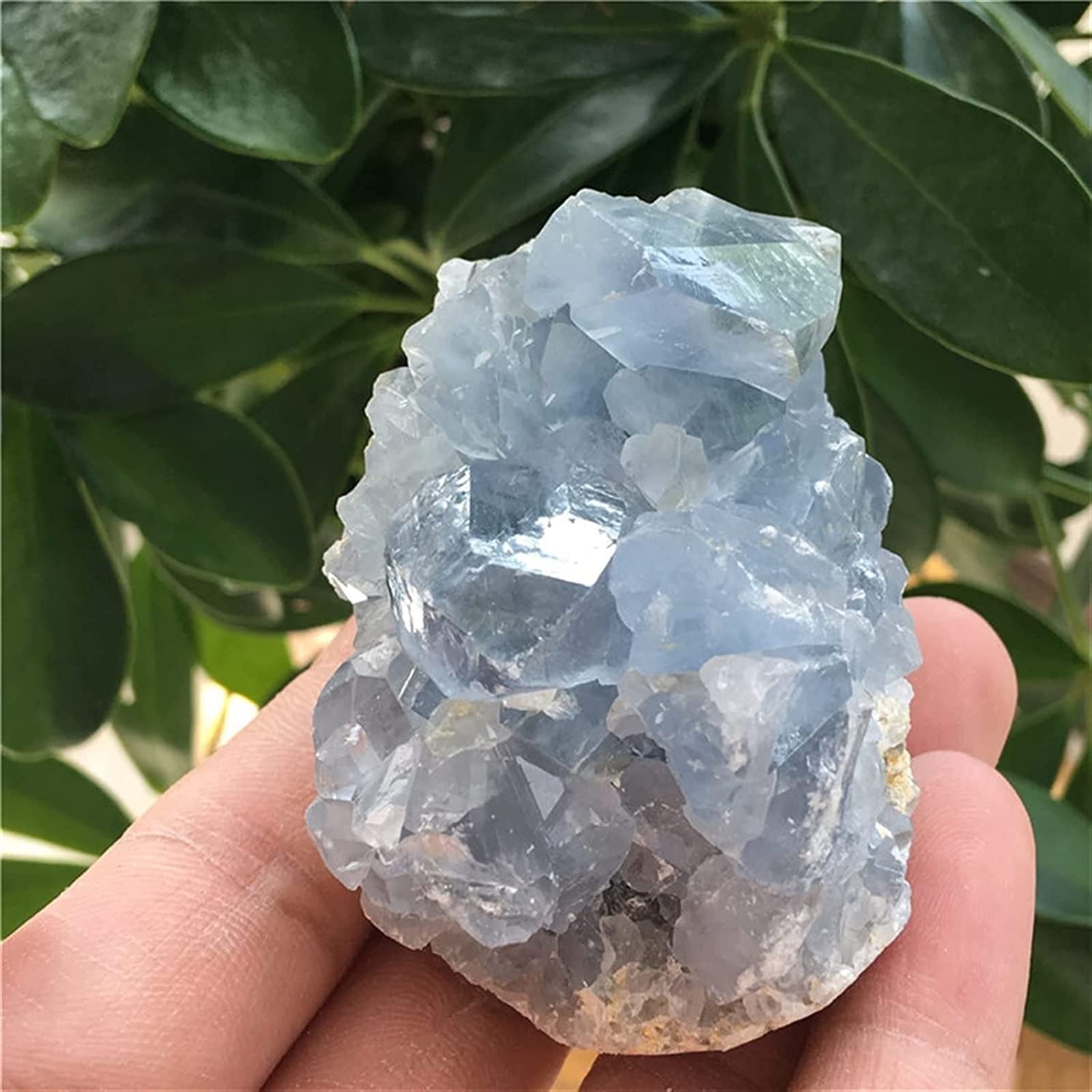 Dom Kolekcje Minerały Kamienie Naturalny Niebieski Celestyt-Kryształ Klaster - Kopia do Dekoracji Kryształowych Kamieni Dekoracji (Rozmiar: 350g)