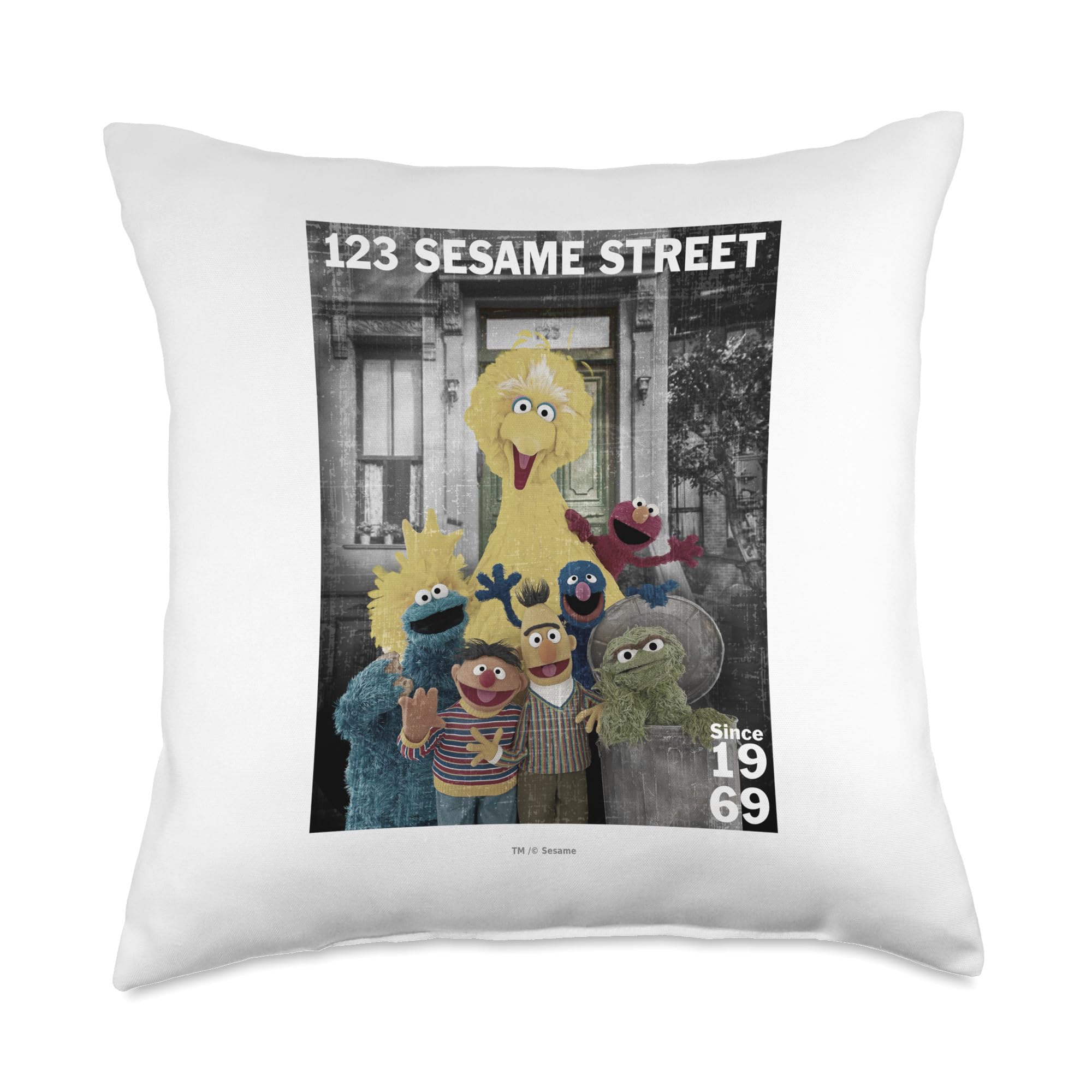 Coussin Sesame Street colore pour egayer le canape du salon familial et le lit