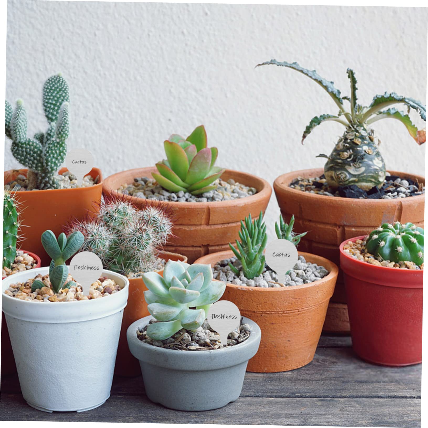 ORFOFE Lot De 3 Étiquettes Rondes En Métal Pour Plantes En Acier Inoxydable Pour Le Jardinage Les Fleurs Et Les Pépinières 50 Pièces X 3
