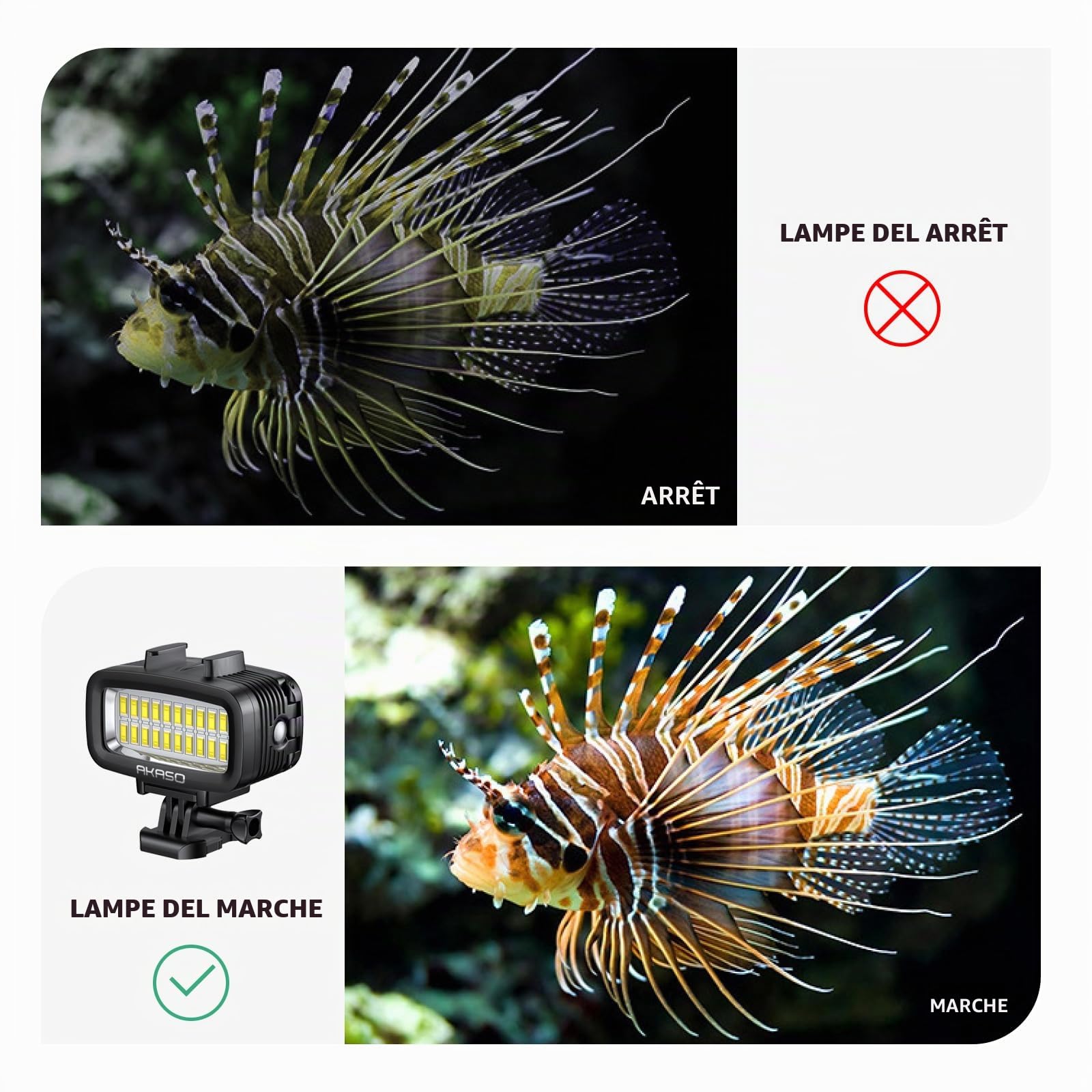 AKASO Lampe sous-Marine 40M Étanche, Lampe de Plongée LED Haute Puissance à Intensité Variable avec Support pour Griffe Froide et 4 Filtres Couleur pour Caméra Sport GoPro/AKASO et Reflex Canon/Nikon