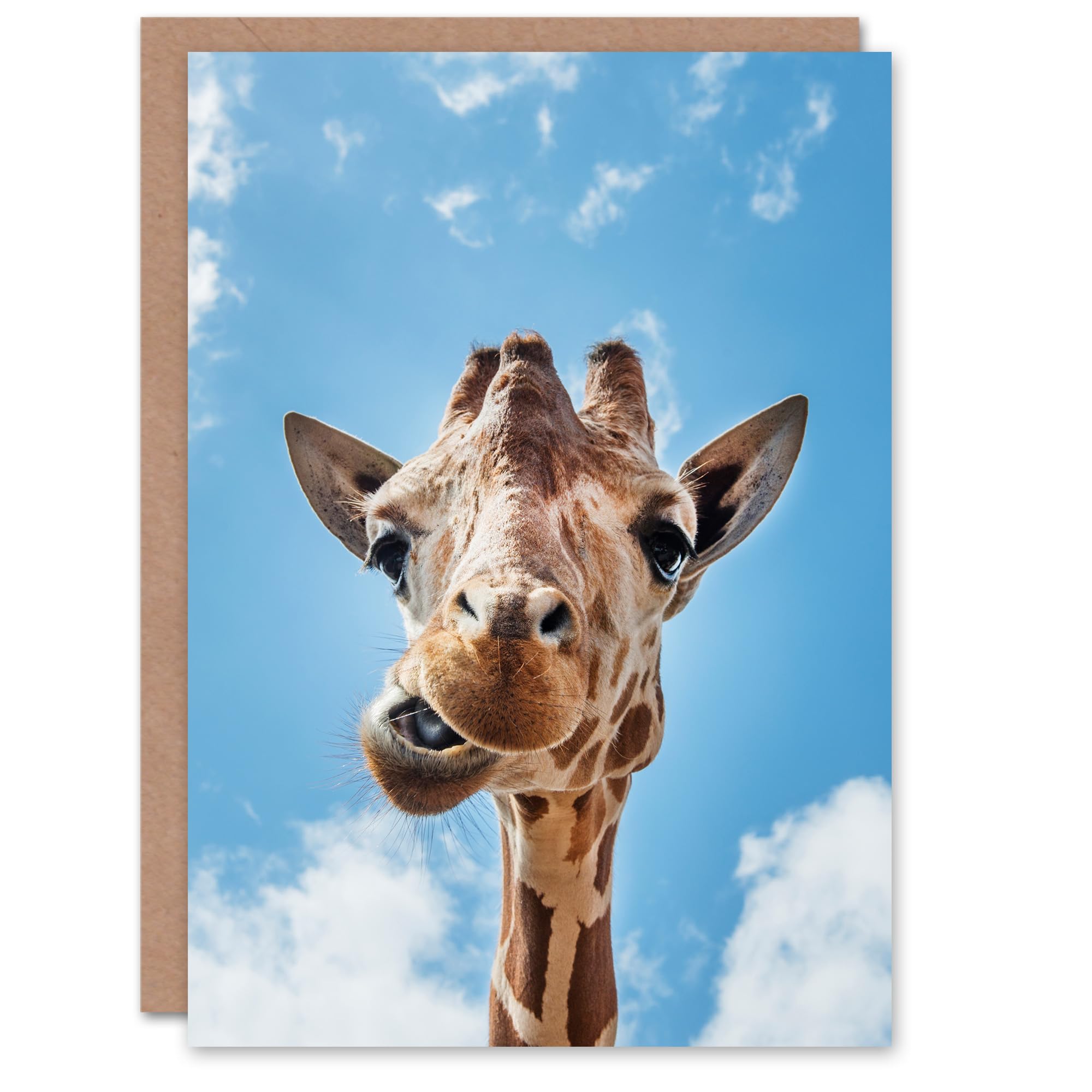 Artery8 Carol M Highsmith Art Card Funny Up Close Look At A Giraffe