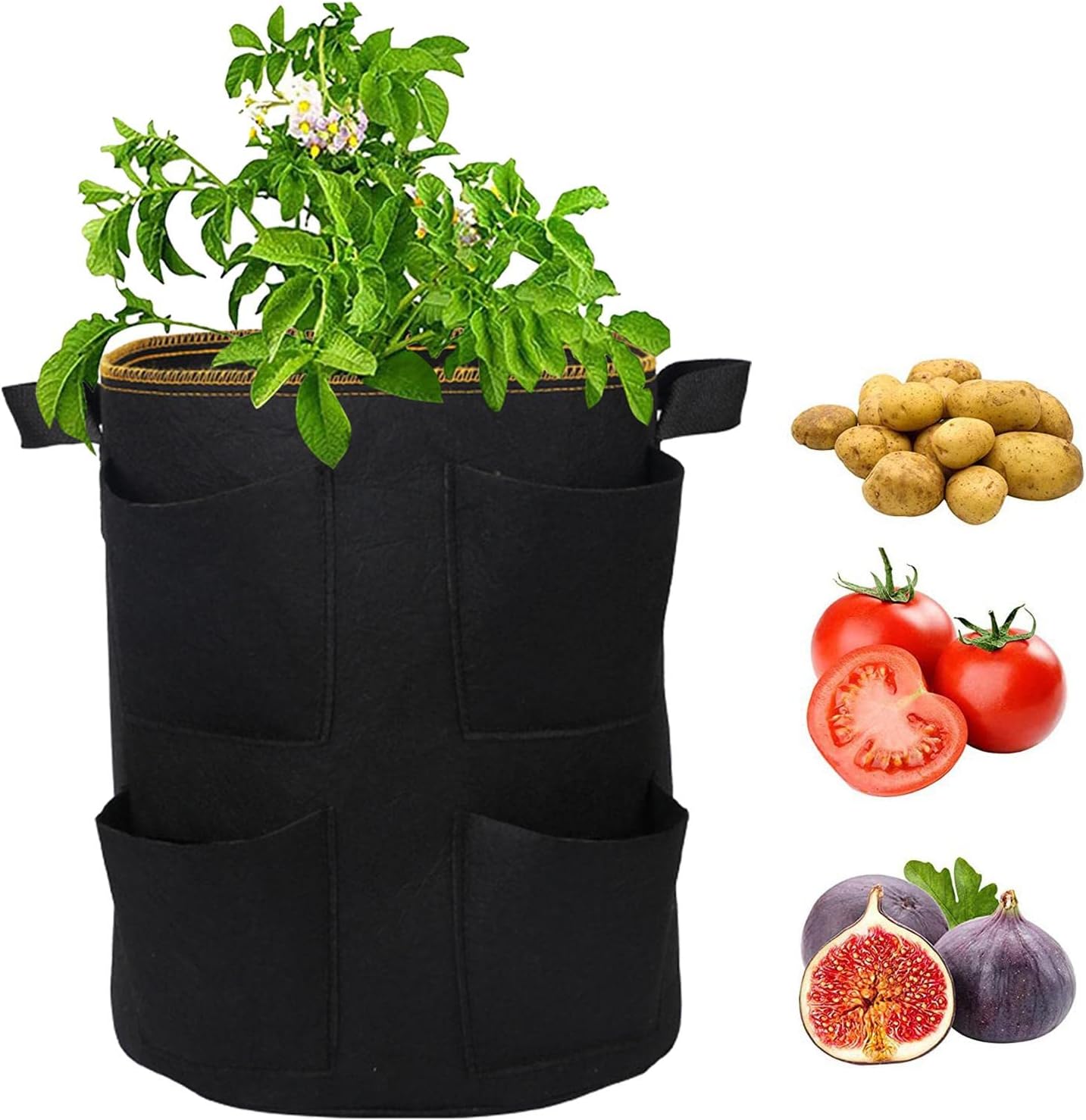 イチゴプランターバッグ 不織布ポット 植栽バッグ 持ち手付き 通気性 浸透性 大容量 フェルトプランター 布鉢 栽培袋 発育促進 ベランダ 植物育成 野菜栽培 家庭用鉢 植え袋 プランター鉢 安売り 園芸 Diy植木鉢 フェルト イチゴプランターバッグ 不織布ポット 植栽バッグ 持ち手付き 通気性 浸透性 大容量 フェルトプランター 布鉢 栽培袋 発育促進 ベランダ 植物育成 野菜栽培 家庭用鉢 植え袋 プランター鉢 安売り 園芸 Diy植木鉢 フェルト
