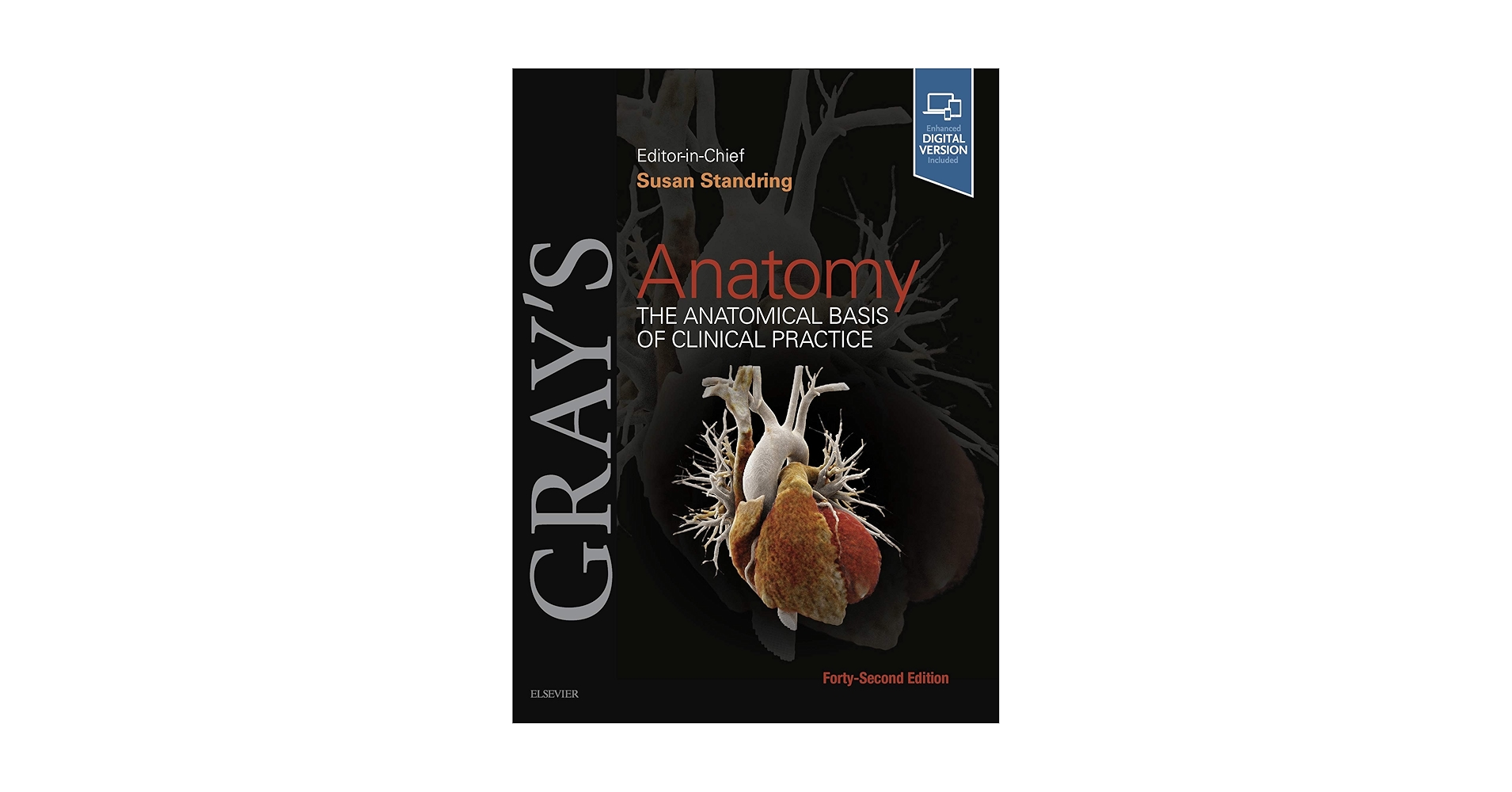 Amazon.com: Gray's Anatomy E-Book eBook : Standring, Susan