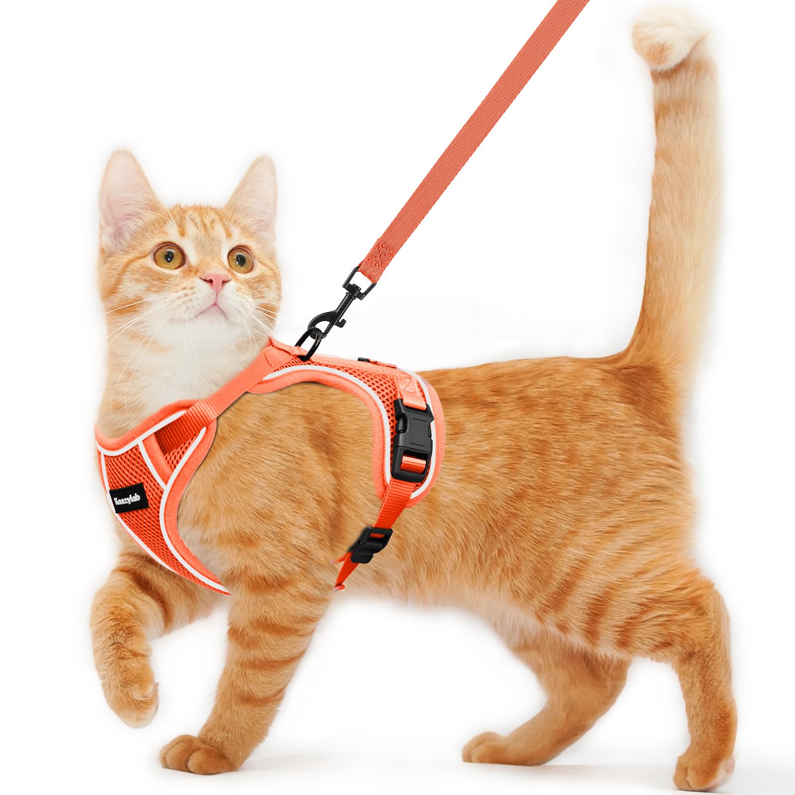 Cat Harness and Leash for Walking Escape Proof Soft Adjustable Cat Leash Breathable Comfortable Vest Easy to Wear Kitten Harness for Outdoor Travel (Orange, XS (4-6lb)) — image 1
