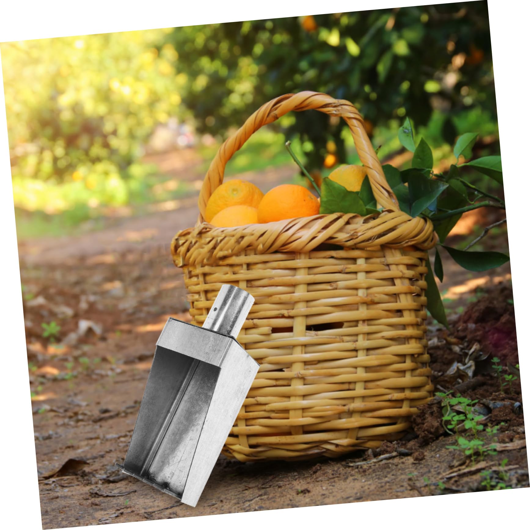 BESPORTBLE 2 Pezzi Strumento Raccoglitrice Di Frutta Orange Picker Raccolta Di Frutta Gabbia Dispositivo Di Raccolta Di Frutta Forniture Agricole Giardinaggio Raccolta Artigli Fattoria