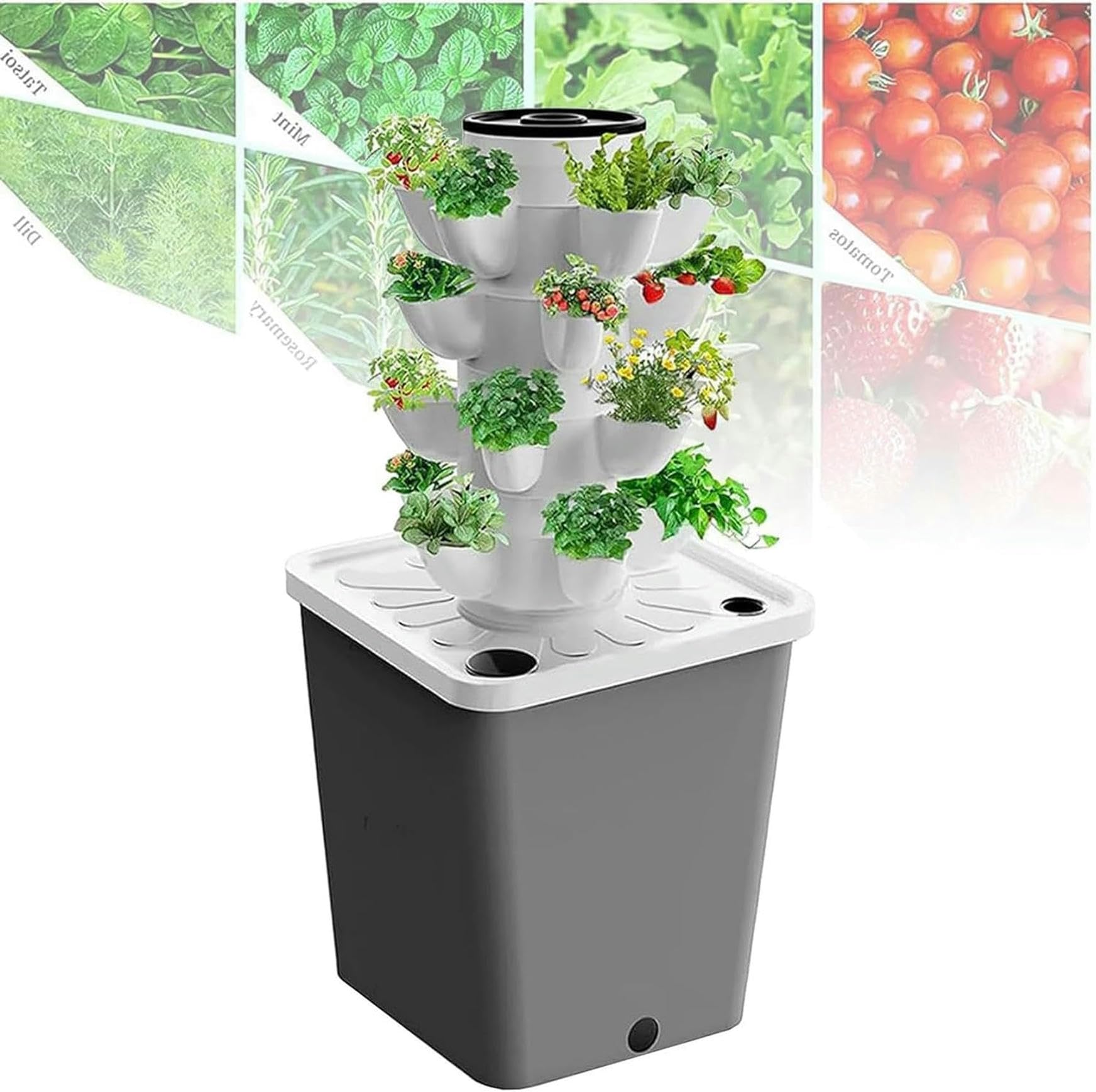 Culture à base de plantes fruits et légumes pour une alimentation saine