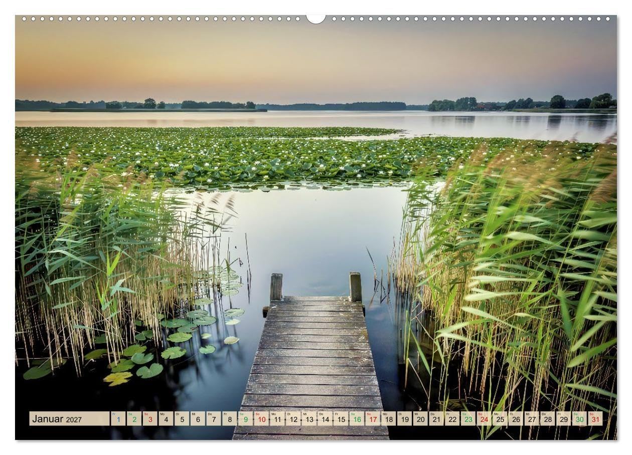 Leben zwischen Seerosen (hochwertiger Premium Wandkalender 2027 DIN A2 quer), Kunstdruck in Hochglanz: Im Reich der schwimmenden Blätter.