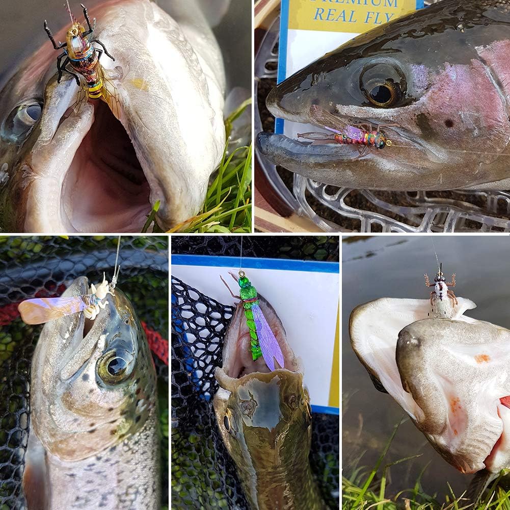 Trout Fly Fishing Flies Collection Dry Wet Nymph Fly Assortment with Fly Box Flyfishing Flys Lures 12/16/18/22/36 Kits